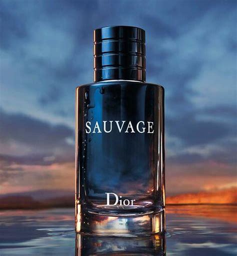 dior sauvage hydratant|dior sauvage 200ml best price.